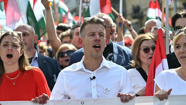 Magyar nützt bestehende Kleinpartei als Vehikel für Europawahl