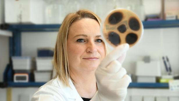 Mikrobiologin Michaela Lackner leitet das neue PhD-Programm MYCOS