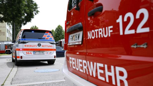 Ein Brand in einem Industriegebäude in Lackendorf (Bezirk Oberpullendorf) hat am Freitag die Einsatzkräfte gefordert. 