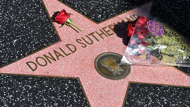 Blumen auf Donal Sutherlands Stern auf dem Walk of Fame