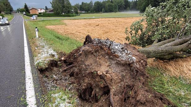 Unwetter suchten Teile Niederösterreichs heim