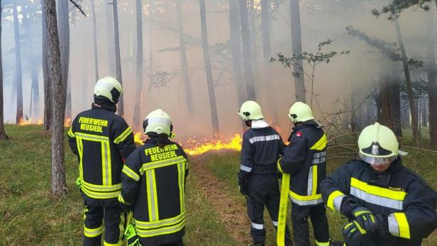 Die Feuerwehrleute konnten den Brand löschen