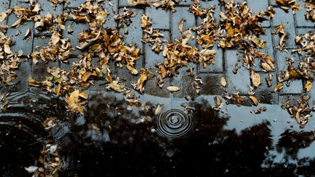 Wetter am Wochenende: Herbst in Österreich angekommen