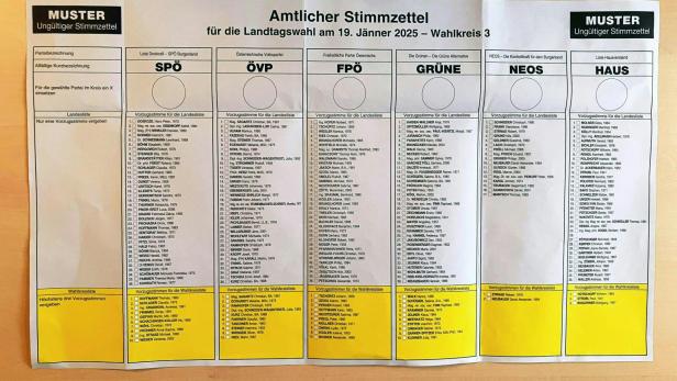 Sechs Parteien stehen zur Wahl