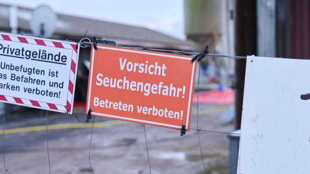 MKS ist eine hochansteckende Viruserkrankung bei Klauentieren