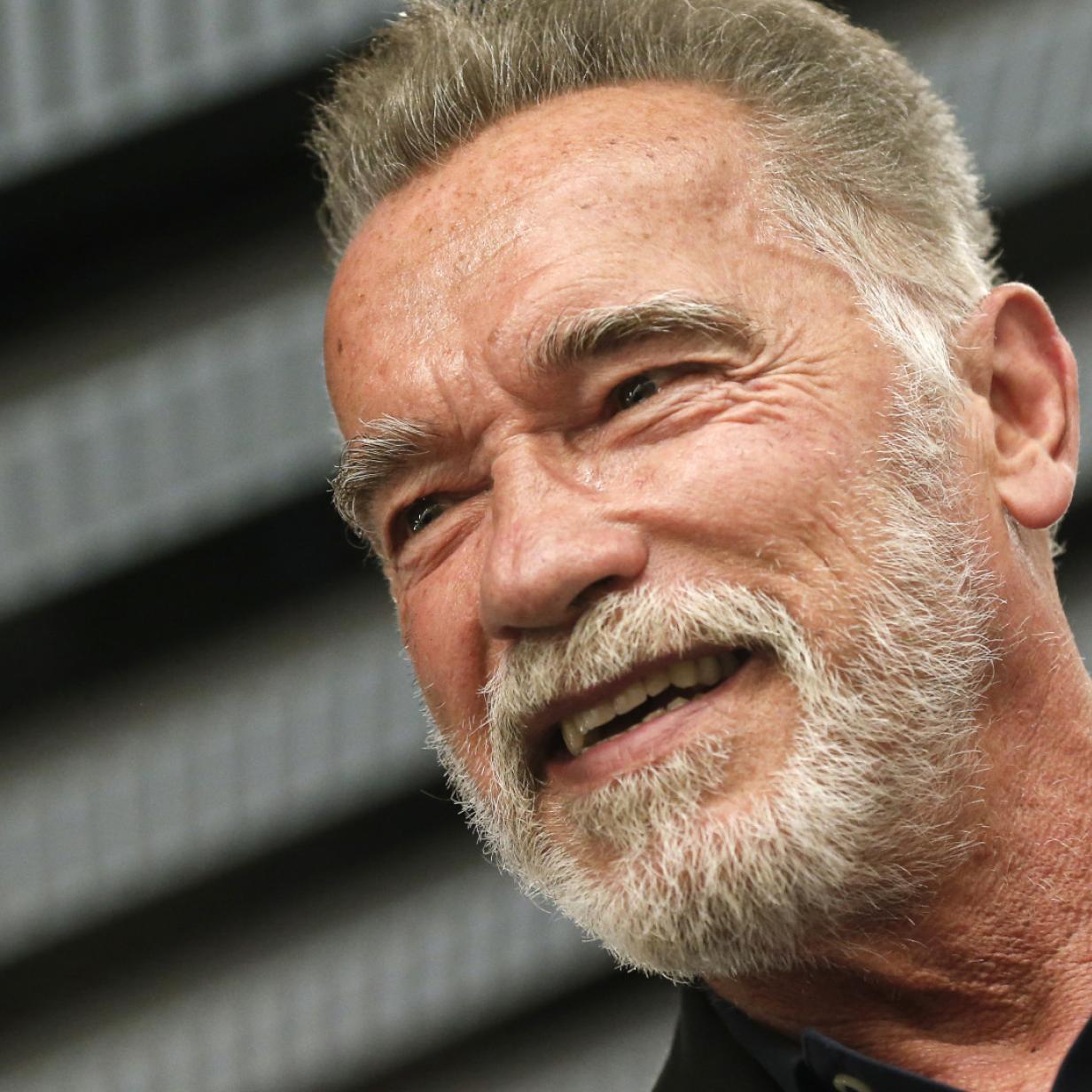 Arnold Schwarzenegger Trainiert Zur Musik Von Taylor Swift