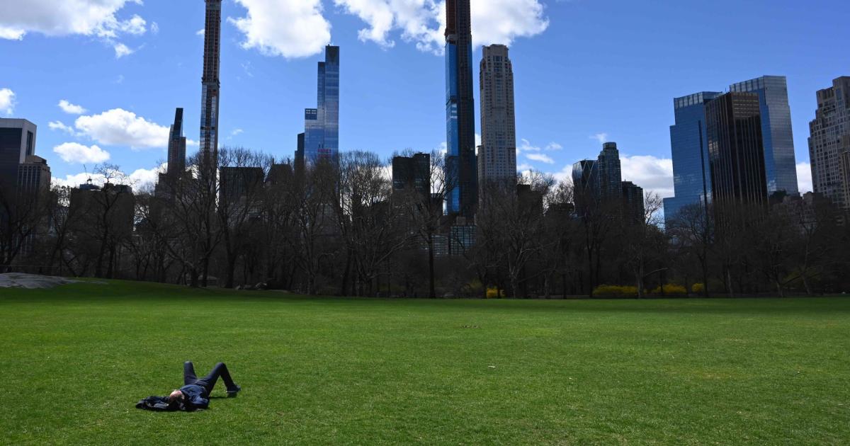 2.373 Eichhörnchen leben in New Yorks Central Park