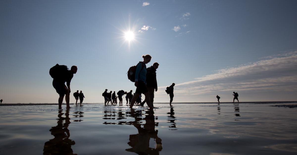 Informationen Zum Coronavirus Tourismusagentur Lbecker Bucht