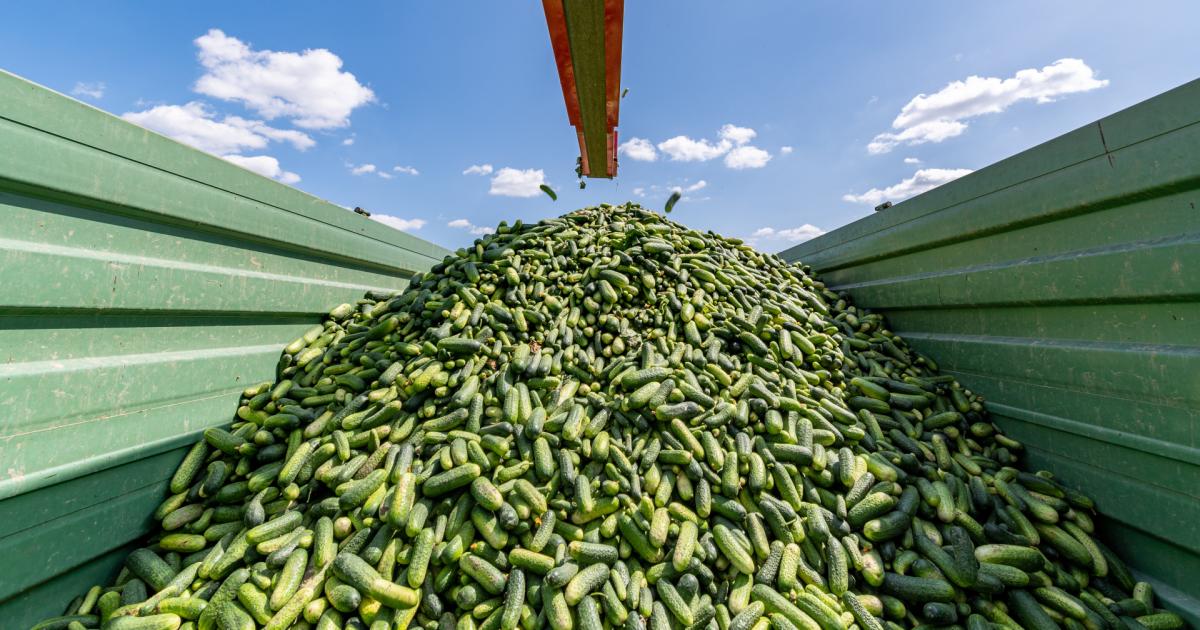 Český start-up spouští online supermarket Gurkerl.at