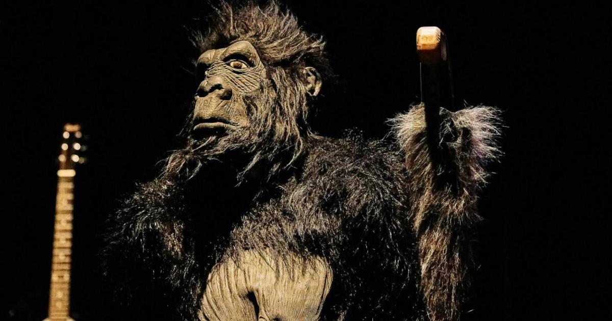 Beste-junge-Theaterproduktionen-mit-Stella-Preisen-gew-rdigt