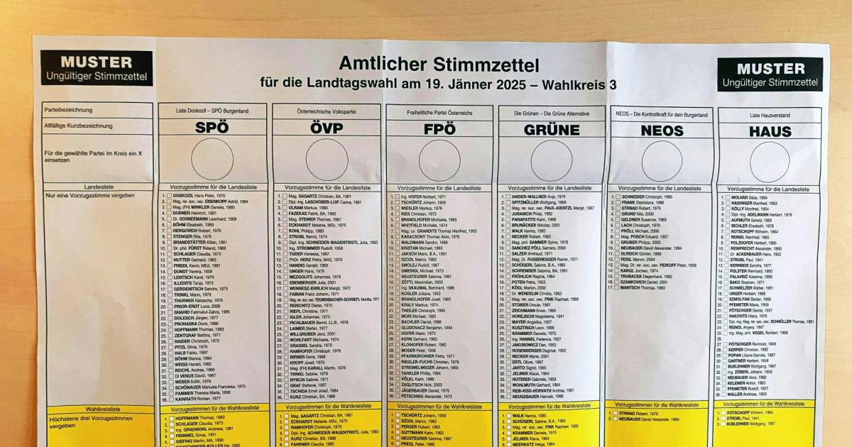 250-400-Burgenl-nder-w-hlen-neuen-Landtag